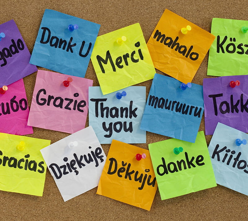 Thank You diversity language, sayings, thanks, HD wallpaper