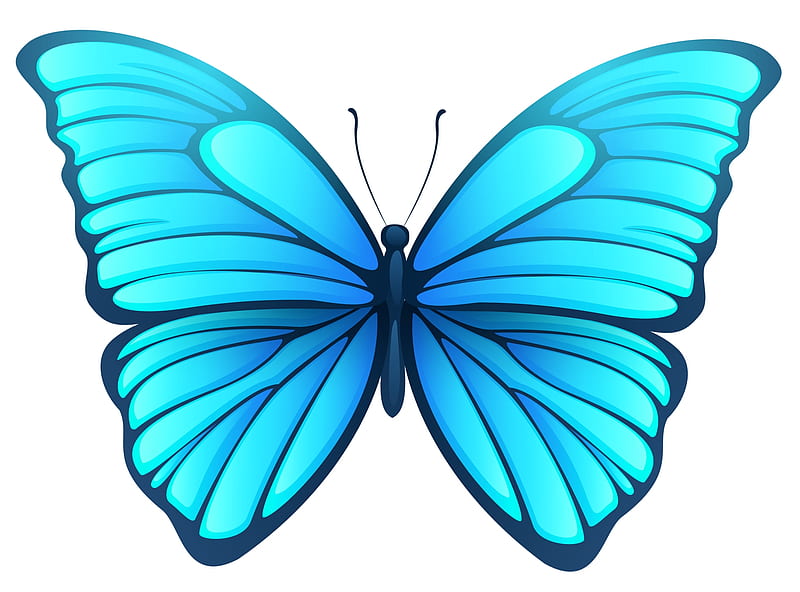Blue butterfly, butterfly, fluture, white, blue, card, HD wallpaper