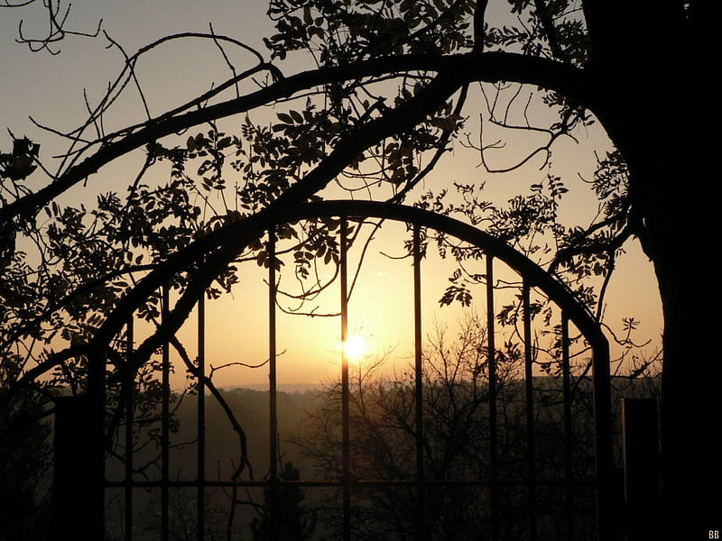 Sunrise through a Rod Iron Gate, red, pretty, gate, sun, romantic, rodiron gate, sunset, rod iron gate, sunrise, HD wallpaper
