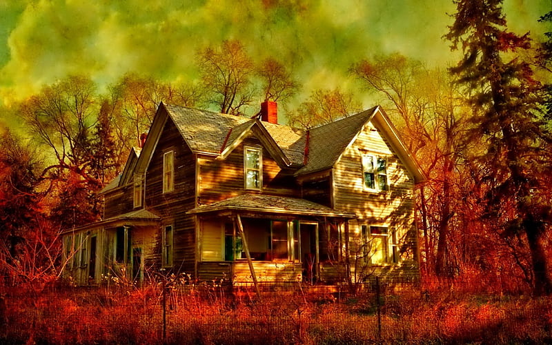 House in Autumn, autumn, house, trees, grass, HD wallpaper | Peakpx