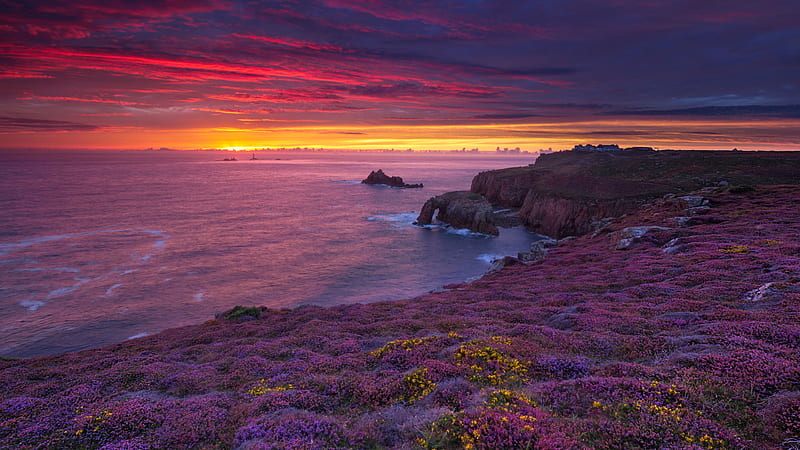 Beautiful Purple Yellow Flowers Field Ocean Rocks Mountains Under Red Black Clouds Sky During Sunset Nature, HD wallpaper