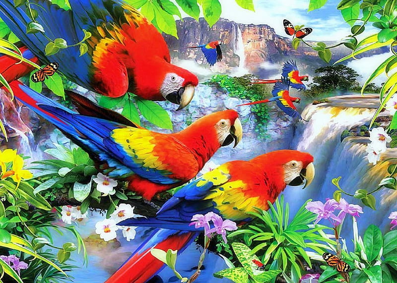 ★Tropical Birds in Forest★, colorful, stunning, bonito, digital art, seasons, tropical birds, tropicals, paintings, flowers, forests, drawings, animals, love four seasons, birds, creative pre-made, butterflies, waterfalls, flying, summer, wildlife, nature, parrots, HD wallpaper
