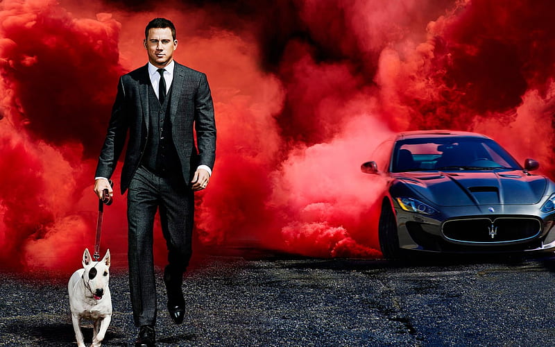 Channing Tatum, man, mist, animal, car, smoke, white, actor, dog, HD wallpaper