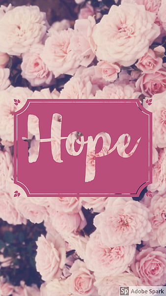 Hope, quote, roses, HD phone wallpaper | Peakpx
