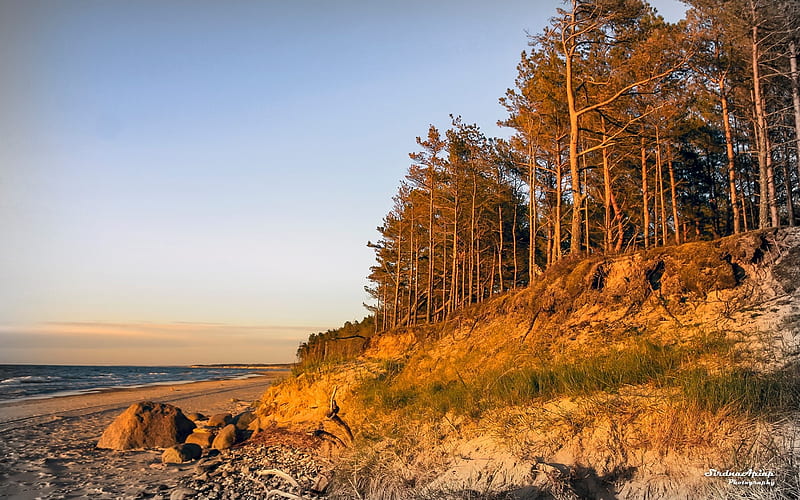 Coast of Latvia, Latvia, trees, sea, coast, rocks, HD wallpaper