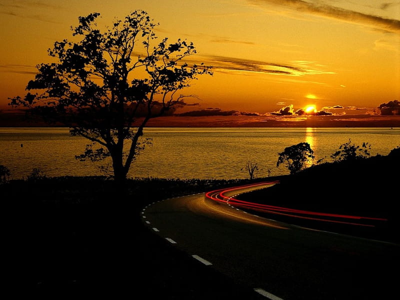 Autumn road, sunset, tree, nature, road, HD wallpaper
