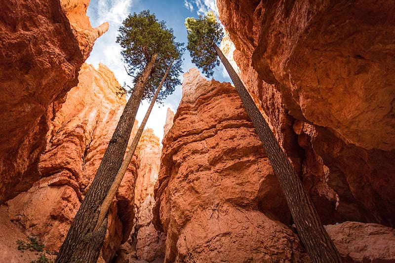 National Park, Bryce Canyon National Park, HD wallpaper