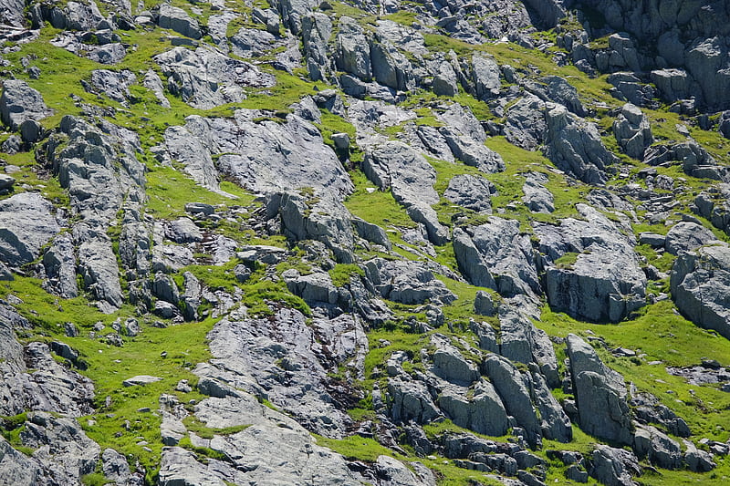 slope, stones, grass, relief, HD wallpaper