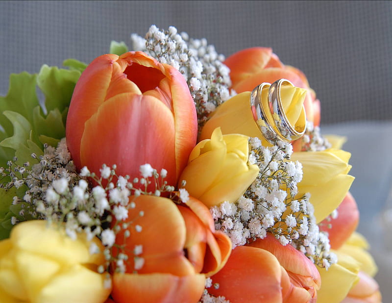 tulips flowers Valentine, rings, bouquet, flower, flowers, color, nature, tulips, tulip, HD wallpaper