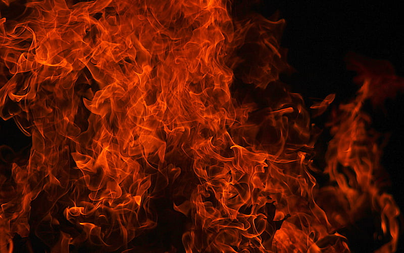 fire texture fire flames, close-up, orange fire, black background, flame texture, HD wallpaper