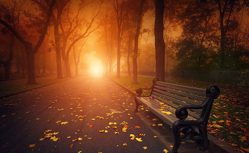 Autumn, bench, sunset, park, HD wallpaper