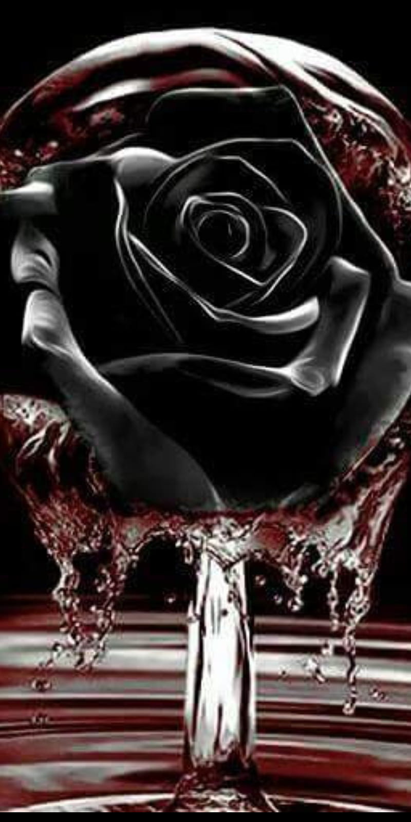 bloody black rose wallpaper
