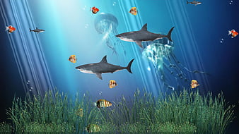 Animated Underwater Colorful Fishes Animated, HD wallpaper | Peakpx