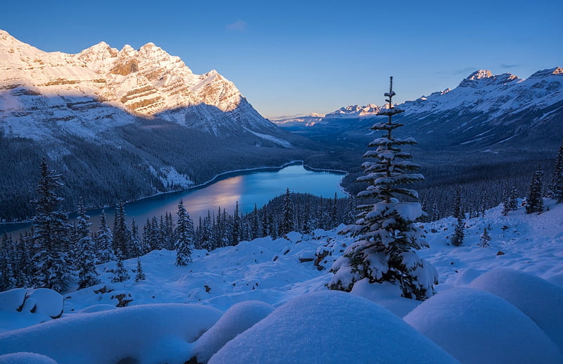 Mountain Dream, sun, snow, mountains, trees, Winter, Peyto lake, Banff national park, lake, forest, HD wallpaper