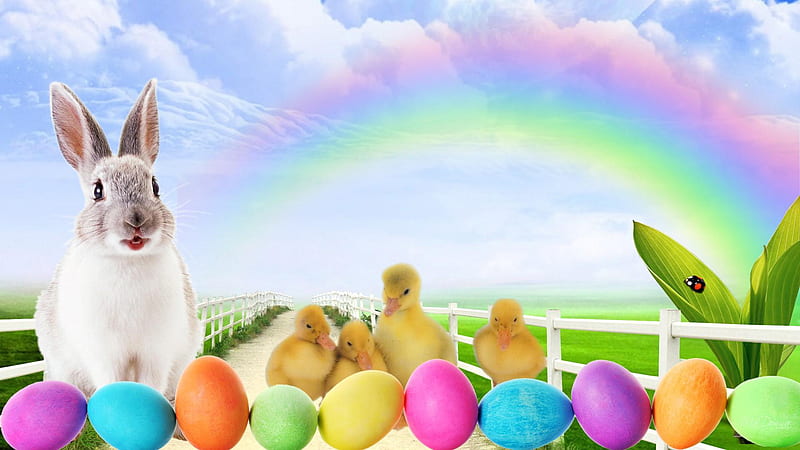 Bunny With Colorful Easter Eggs Easter, HD wallpaper
