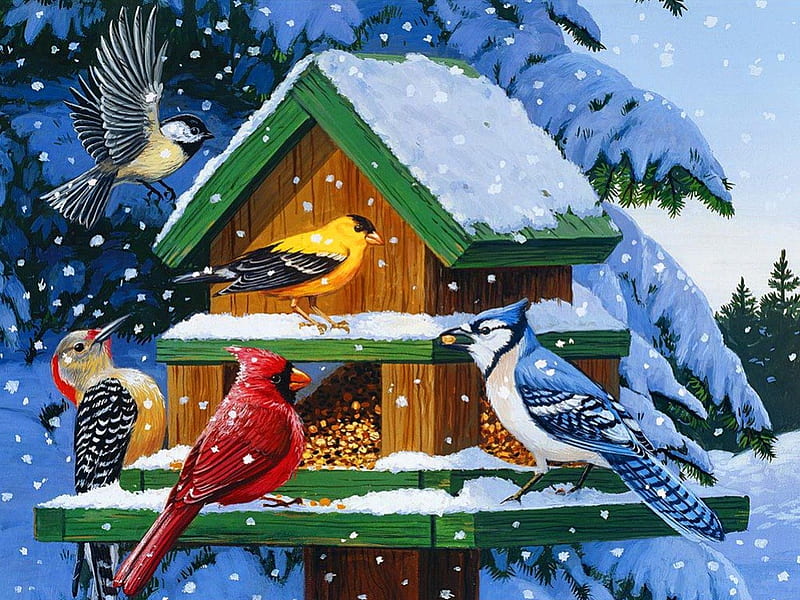 Winter feast, pretty, colorful, bonito, snowy, cold, nice, painting, feast, friends, art, forest, lovely, birds, trees, winter, snow, snowflakes, birdhouse, nature, HD wallpaper