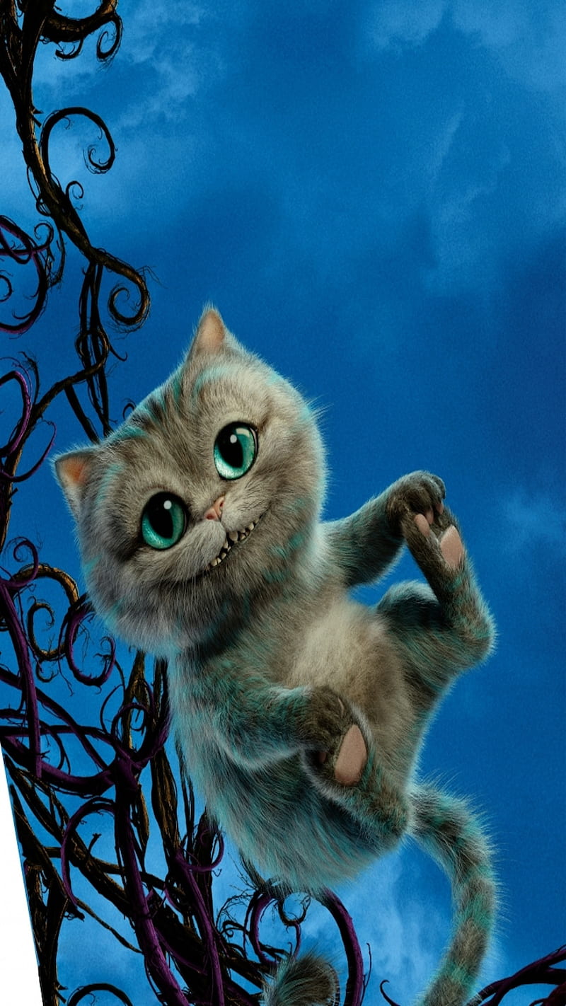 Cheshire Baby Cat , cats, kitten, HD phone wallpaper