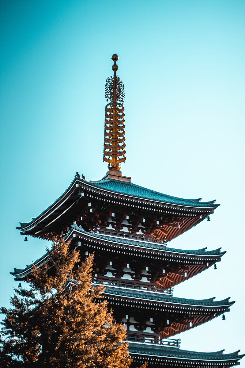 pagoda, building, tree, architecture, HD phone wallpaper