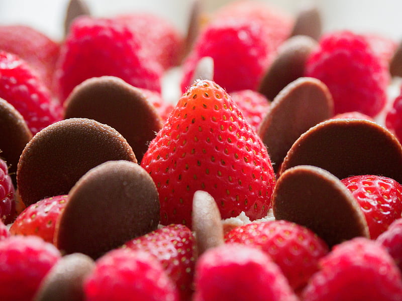 Strawberry, chocolate, dessert, berries, red, HD wallpaper | Peakpx