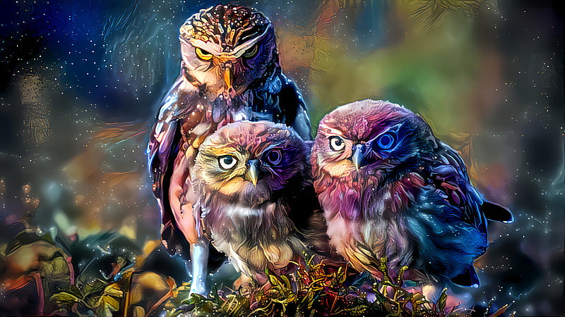 Fantasy Animals, Owl, Animal, Bird, HD wallpaper | Peakpx