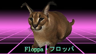 Big Floppa Wallpaper Explore more Animal, Big Floppa, Breed Cat, Caracal,  Cat wallpaper.