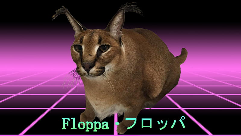 floppa cube in 3D : r/bigfloppa