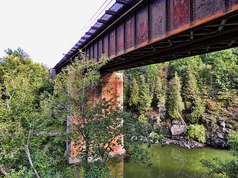 The Trestle, Trestle, Train, Bridge, River, HD wallpaper
