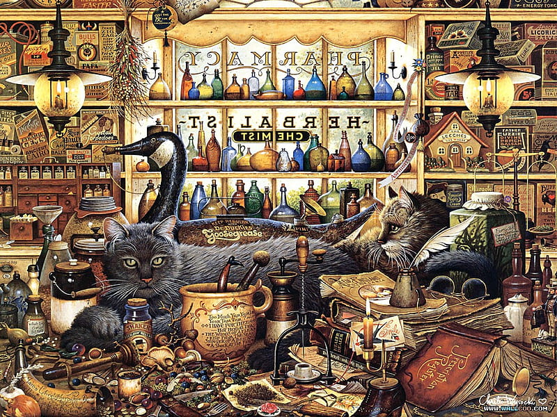 Wysocki Cats, detailed, fantasy, felines, whiskers, pharmacy, abstract, cats, artwork, HD wallpaper
