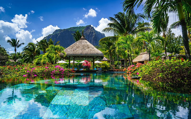 Mauritius, tropical island, mountain landscape, palm trees, luxury hotel, swimming pool, HD wallpaper