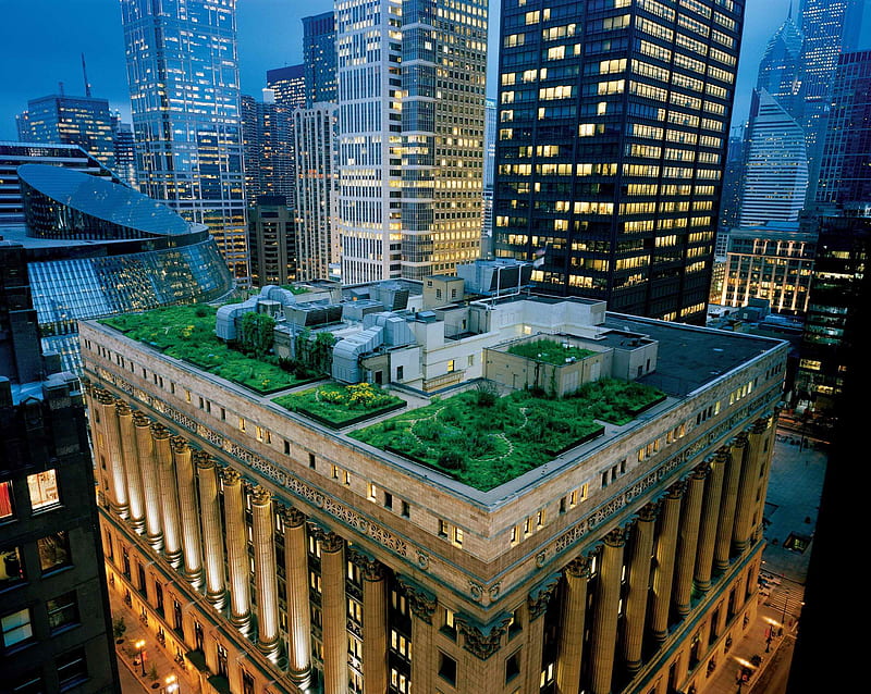 Chicago Green Roof, building, city, grass, plants, HD wallpaper