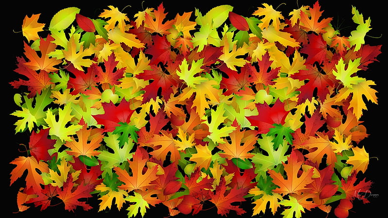 Color of Many Leaves, colorful, fall, autumn, leaves, bright colors, Firefox Persona theme, HD wallpaper