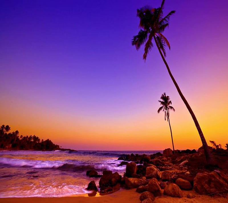 Tropical BeachSunset, look, nice, HD wallpaper | Peakpx