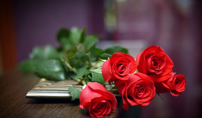 Roses to my sweet friend Brina, red, flowers, lovely, roses, HD wallpaper