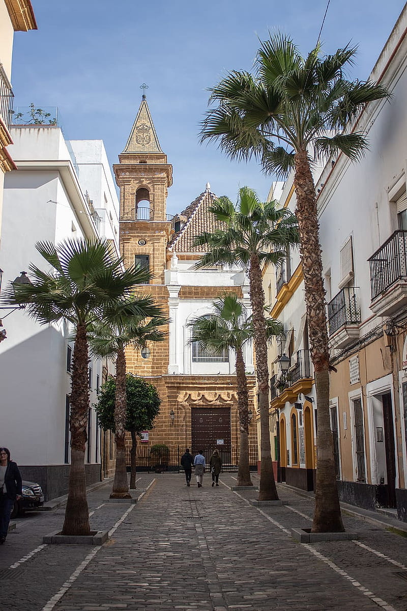 Cadiz, andalucia, andalusia, church, city, europe, palm trees, spain, HD phone wallpaper