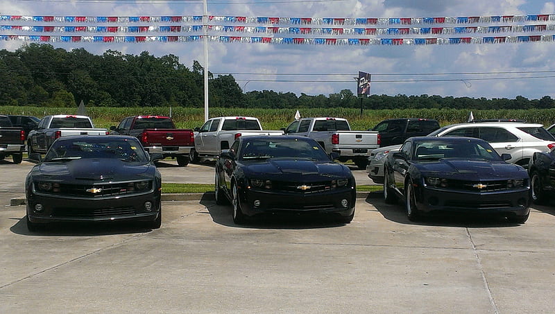 Three Camaro SS Cars, carros, camaro, ss, 3, HD wallpaper | Peakpx