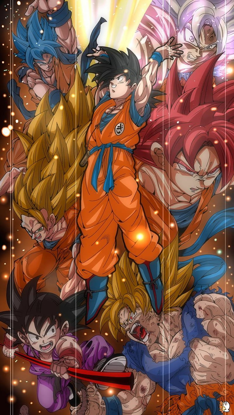 Goku forms, art, HD phone wallpaper