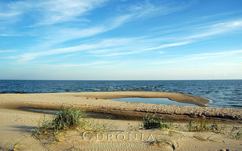 Curonia colors - Beach, kopos, beach, colors, curonia, HD wallpaper