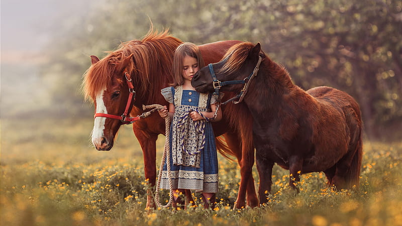 Cute Little Girl Is Standing In Between Horses On Green Grass Wearing Blue Dress Cute, HD wallpaper