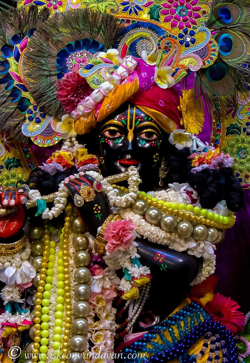 Krishna, radhakrishnan, hare krishna, india, radharani, HD phone ...