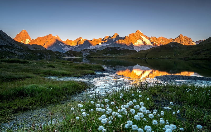 The dawn, dawn, splendor, mountains, flowers, nature, HD wallpaper | Peakpx