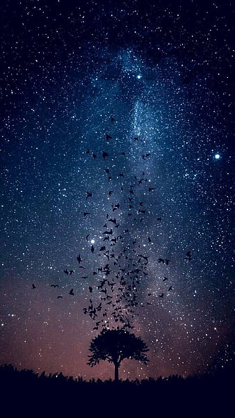 beautiful night sky with stars wallpaper