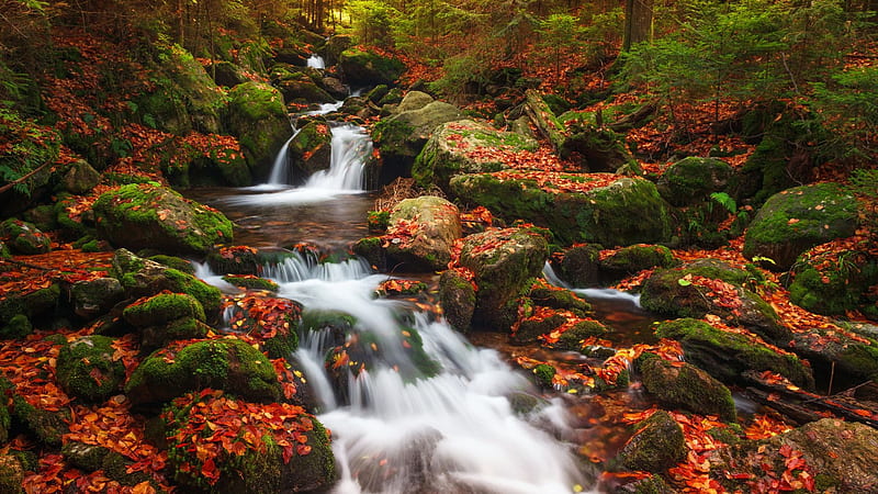 Waterfall in Sumava NP, South Bohemia, Czech Republic, river, plants, fall, autumn, colors, landscape, rocks, HD wallpaper