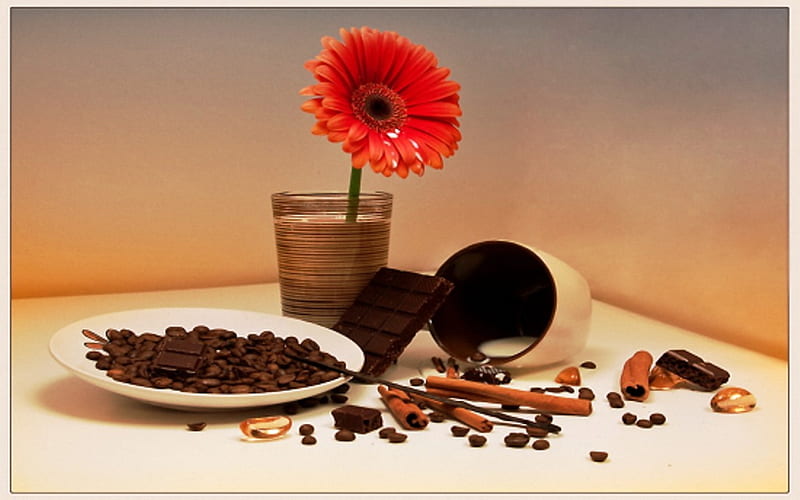 Still life -chocolate and coffee, red, table, chocolate, taste good, sweet flavor, cinnamon, black, coffee beans, still life, coffee, taste, cup, flower, dahlia, HD wallpaper