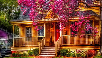 House, red, flowers, garden, trees, pink, HD wallpaper | Peakpx