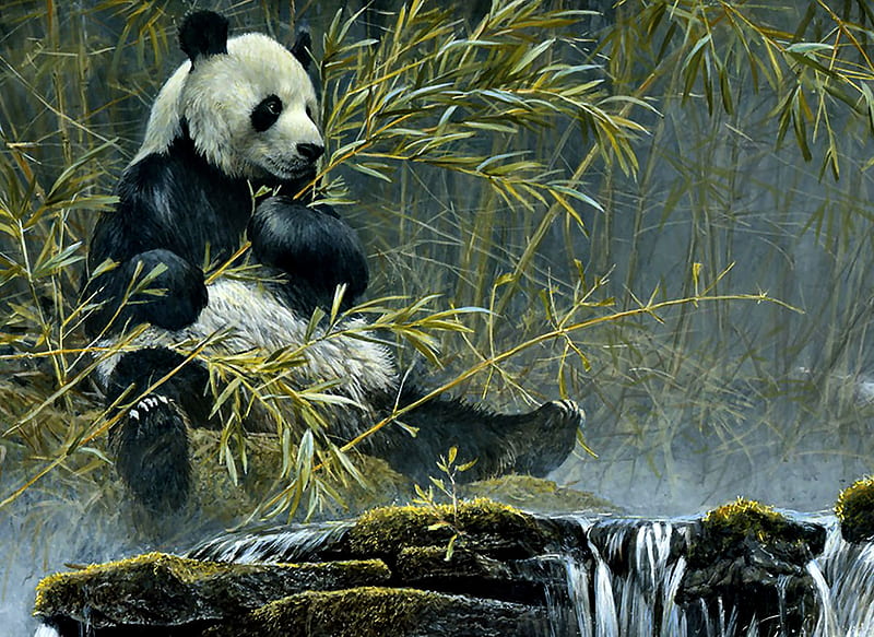 Giant Panda FC, art, bear, bonito, illustration, artwork, animal, panda, painting, wide screen, wildlife, nature, HD wallpaper