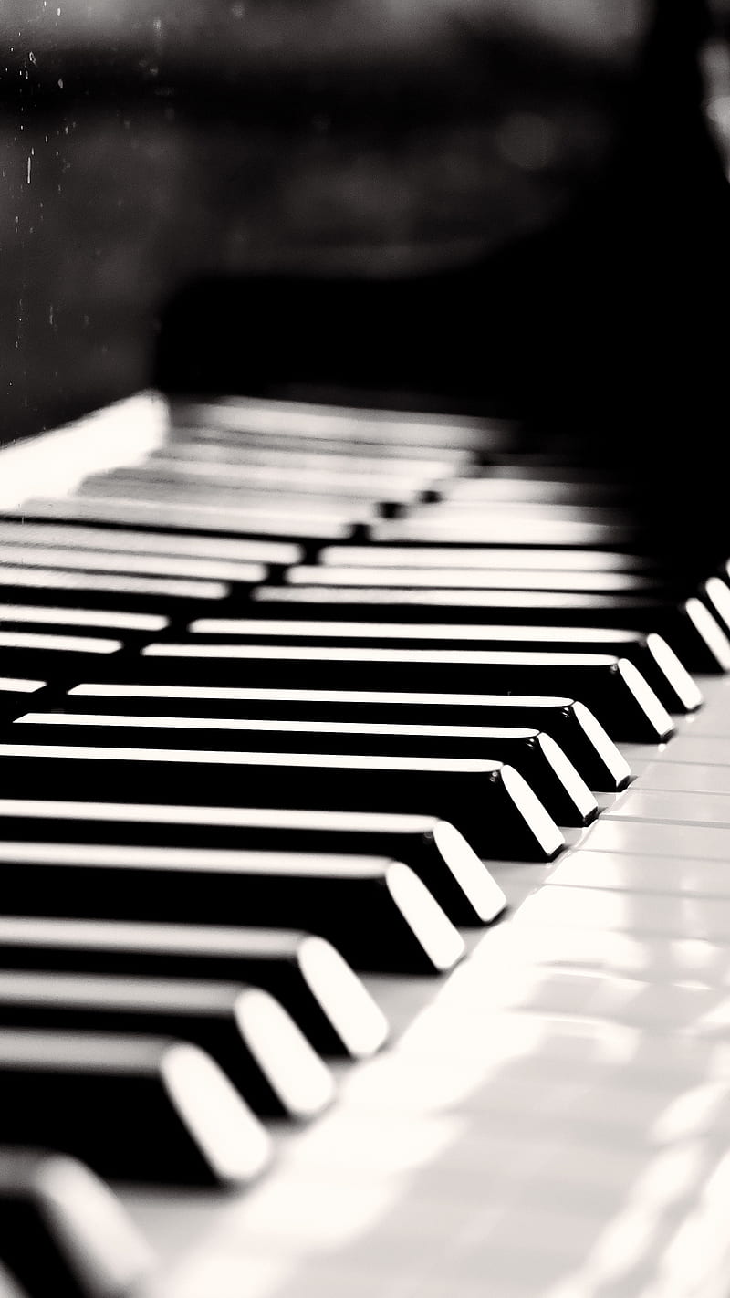 BnW Piano Keys , musical instrument, music, HD phone wallpaper