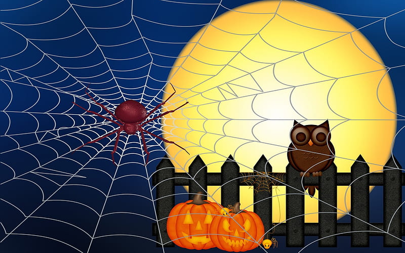 Owl On A Fence, owl, moon, orange, brown, yellow, spider, blue, pumpkins, HD wallpaper