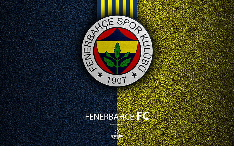 Fenerbahce FC Turkish football club, leather texture, emblem, logo, Super Lig, Istanbul, Turkey, football, Turkish Football Championship, HD wallpaper