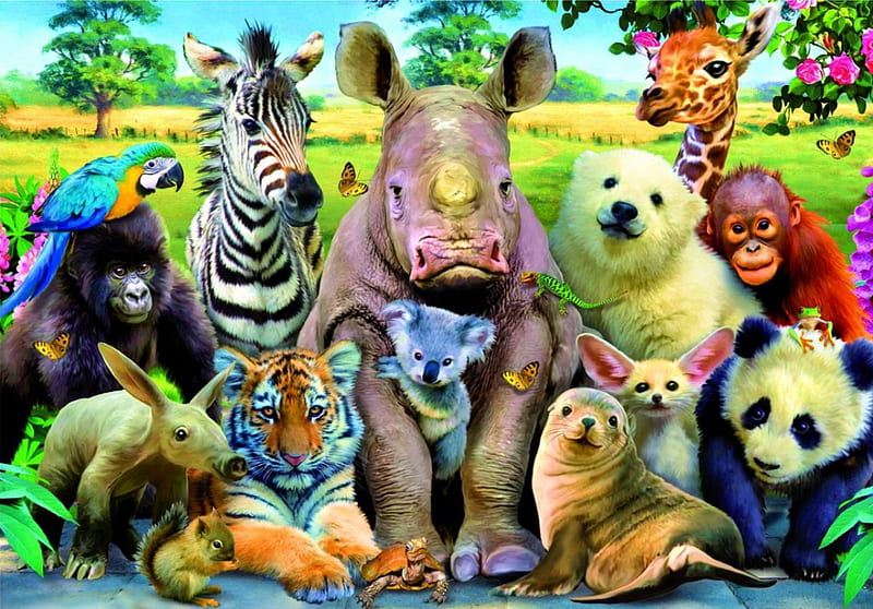 Wild Animals, Panda, Zebra, squirrel, monkeys, blacke bear, parrot, artwork, seal, rhino, polar bear, HD wallpaper