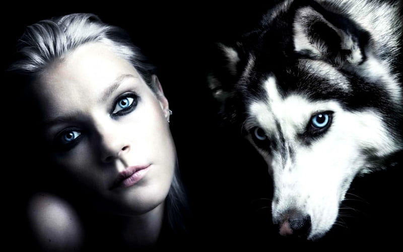 Jessica Stam, model, black, woman, girl, face, wolf, blue eyes, white, husky, HD wallpaper